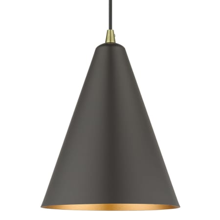 A large image of the Livex Lighting 41492 Bronze / Antique Brass
