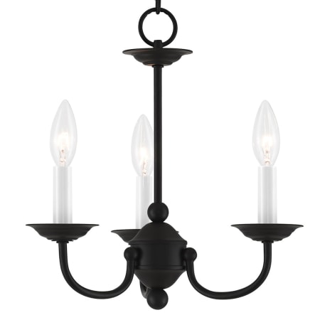 A large image of the Livex Lighting 4153 Black