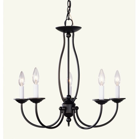 A large image of the Livex Lighting 4155 Bronze