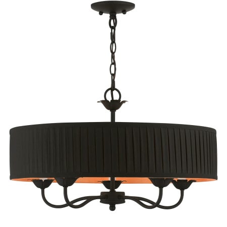 A large image of the Livex Lighting 41865 Black