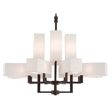 A large image of the Livex Lighting 42669 Bronze
