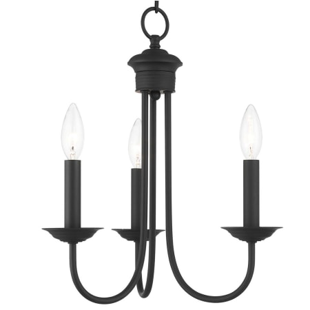 A large image of the Livex Lighting 42683 Black