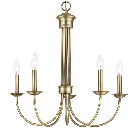 A large image of the Livex Lighting 42685 Antique Brass