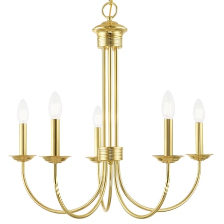 A large image of the Livex Lighting 42685 Polished Brass