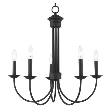 A large image of the Livex Lighting 42685 Black