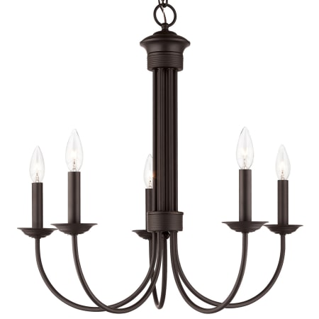 A large image of the Livex Lighting 42685 Bronze