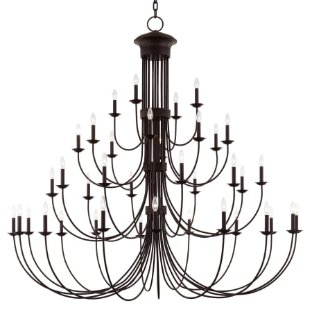 A large image of the Livex Lighting 42689 Bronze