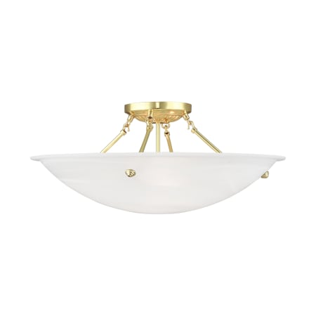 A large image of the Livex Lighting 4275 Polished Brass