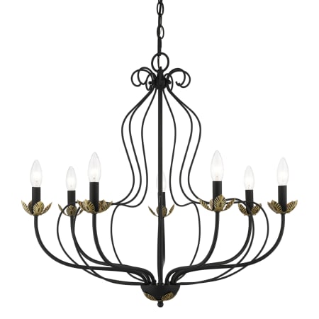 A large image of the Livex Lighting 42907 Black / Antique Brass