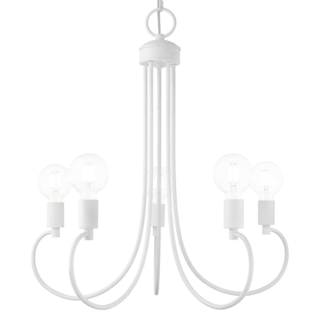 A large image of the Livex Lighting 42925 White