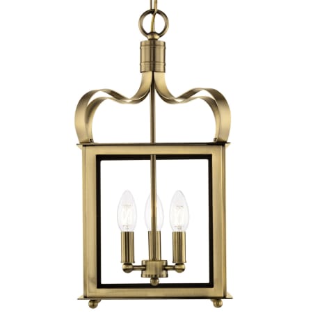 A large image of the Livex Lighting 4313 Antique Brass