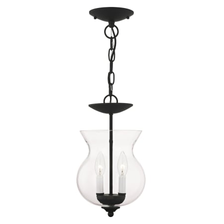 A large image of the Livex Lighting 4393 Black