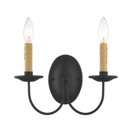 A large image of the Livex Lighting 4452 Black