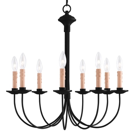 A large image of the Livex Lighting 4458 Black