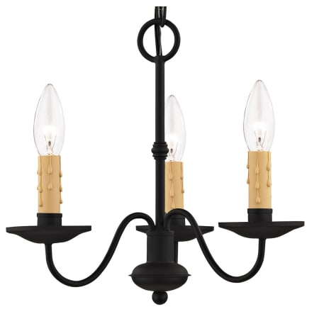 A large image of the Livex Lighting 4463 Black