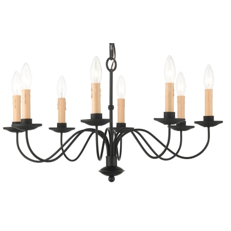 A large image of the Livex Lighting 4468 Black