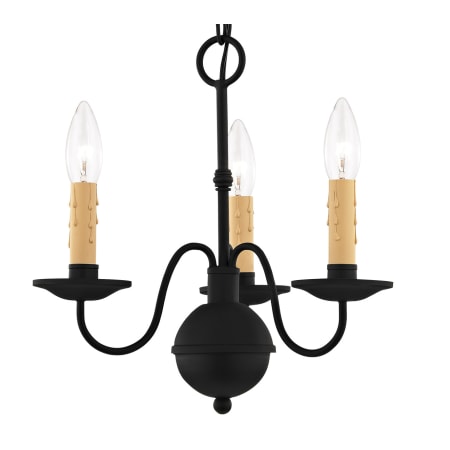A large image of the Livex Lighting 4493 Black