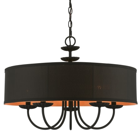 A large image of the Livex Lighting 45125 Black