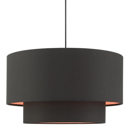A large image of the Livex Lighting 45618 Black