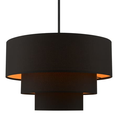 A large image of the Livex Lighting 45619 Black