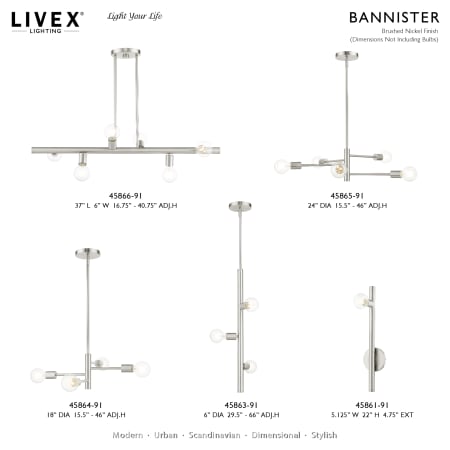 A large image of the Livex Lighting 45863 Alternate Image