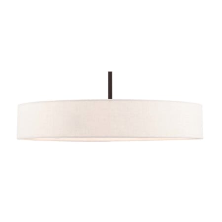 A large image of the Livex Lighting 46034 Bronze with Antique Brass Accents
