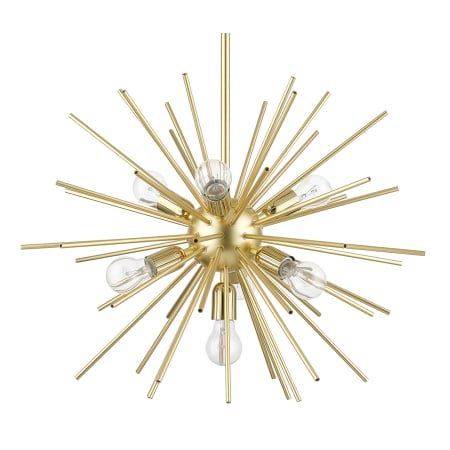 A large image of the Livex Lighting 46175 Soft Gold / Polished Brass Accents