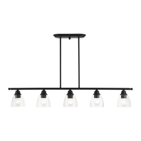 A large image of the Livex Lighting 46338 Black