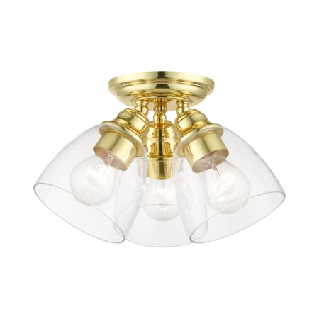A large image of the Livex Lighting 46339 Polished Brass