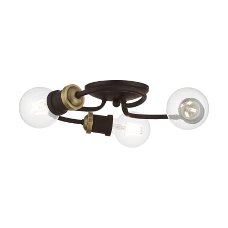 A large image of the Livex Lighting 46383 Bronze / Antique Brass Accents
