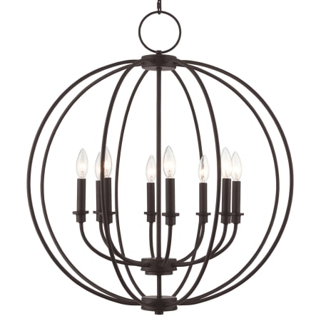 A large image of the Livex Lighting 4668 Bronze