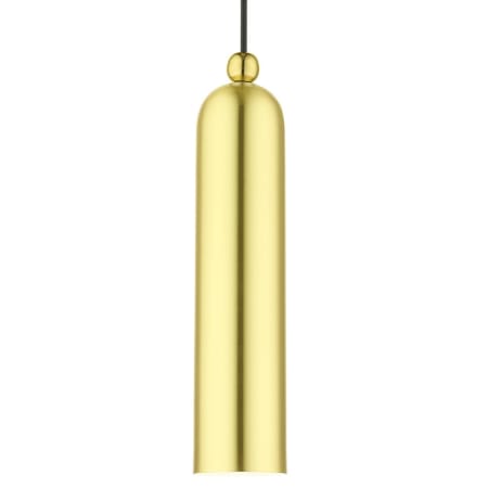 A large image of the Livex Lighting 46751 Satin Brass