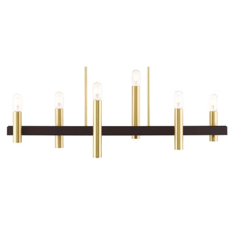 A large image of the Livex Lighting 46866 Satin Brass with Bronze Accents