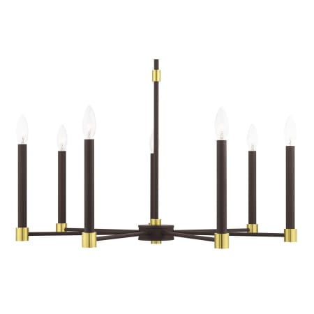 A large image of the Livex Lighting 46887 Bronze with Satin Brass Accents