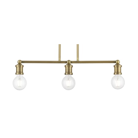 A large image of the Livex Lighting 47163 Antique Brass