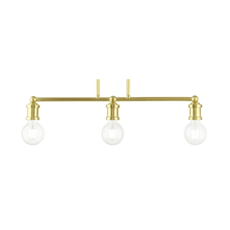 A large image of the Livex Lighting 47163 Satin Brass
