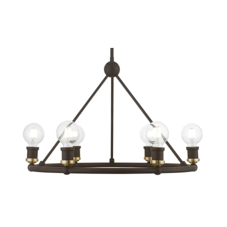 A large image of the Livex Lighting 47166 Bronze / Antique Brass Accents