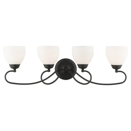 A large image of the Livex Lighting 4754 Black