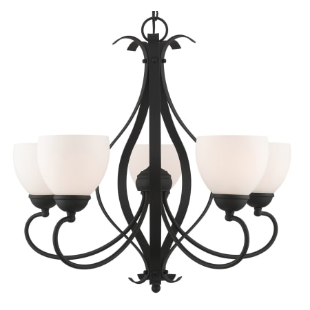 A large image of the Livex Lighting 4765 Black