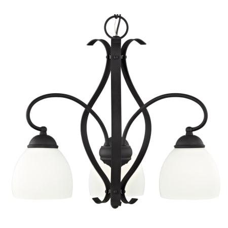 A large image of the Livex Lighting 4773 Black