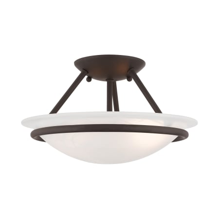 A large image of the Livex Lighting 4823 Bronze
