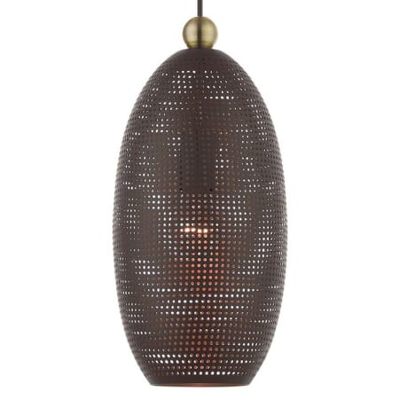 A large image of the Livex Lighting 49101 Bronze with Antique Brass Accents