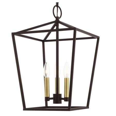 A large image of the Livex Lighting 49433 Bronze