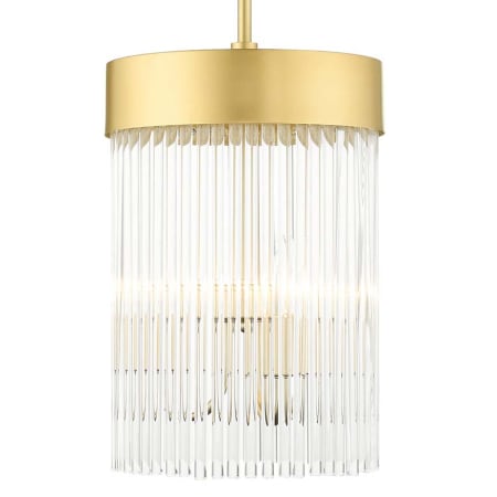 A large image of the Livex Lighting 49828 Soft Gold