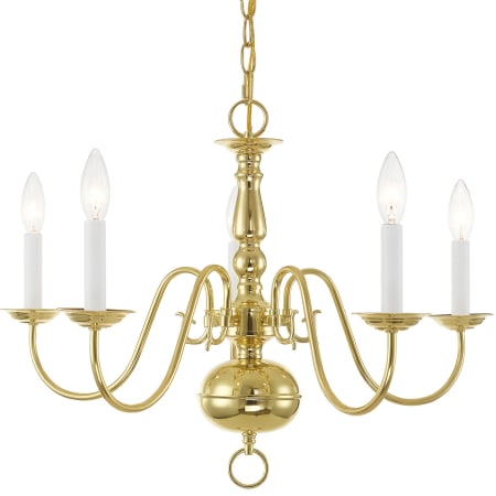 A large image of the Livex Lighting 5005 Polished Brass