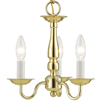 A large image of the Livex Lighting 5009 Polished Brass