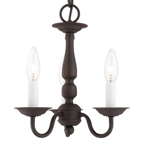 A large image of the Livex Lighting 5009 Bronze