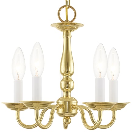 A large image of the Livex Lighting 5011 Polished Brass