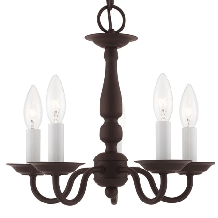 A large image of the Livex Lighting 5011 Bronze