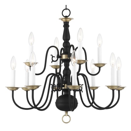 A large image of the Livex Lighting 5012 Black